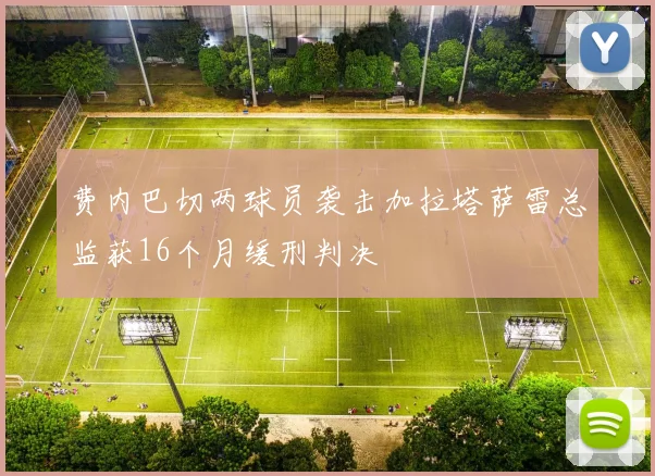 费内巴切两球员袭击加拉塔萨雷总监获16个月缓刑判决