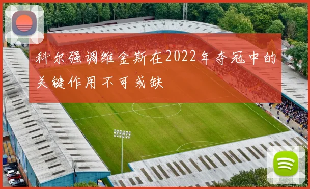 科尔强调维金斯在2022年夺冠中的关键作用不可或缺